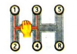 Hình 2 48 Tăng số Từ từ nhả bàn đạp ly hợp đồng thời tăng ga Hình 2 49 Nhả 3