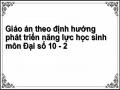 Giáo án theo định hướng phát triển năng lực học sinh môn Đại số 10 - 2