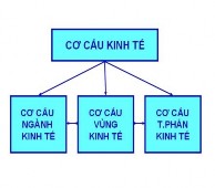 Sơ đồ 2 Xu hướng chuyển dịch cơ cấu ngành kinh tế Áp dụng những thành tựu 4