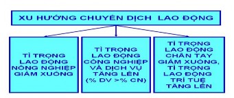 Thế nào là cơ cấu kinh tế biến đổi theo hướng tiến bộ Ví dụ Cơ cấu kinh 3