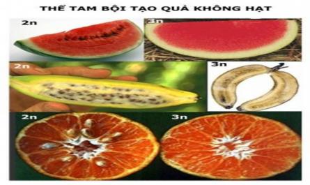 Hướng Dẫn Học Sinh Học Bài, Làm Việc Ở Nhà (2 Phút)