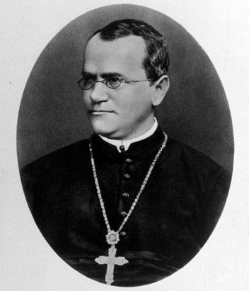 Dựa vào đâu Menđen kết luận được tỉ lệ kiểu hình 3 1 ở F 2 tương ứng 1