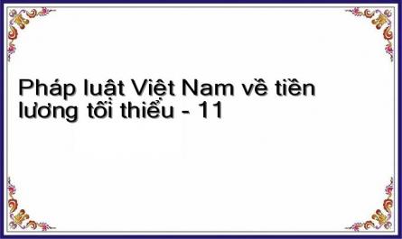 Pháp luật Việt Nam về tiền lương tối thiểu - 11