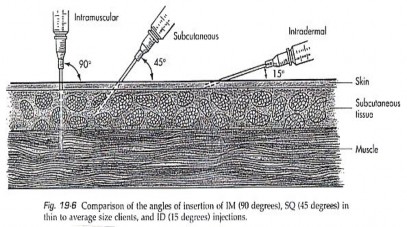TỰ LƯỢNG GIÁ Câu hỏi nhỏ câu 1 11 1 Kể nội dung 3 kiểm tra 5 đối chiếu và 5 1