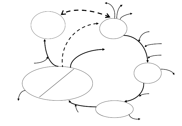 Giảm khả năng chăm sóc trẻ Thiếu dinh Sơ sinh nhẹ cân Phát triển trí tuệ 2