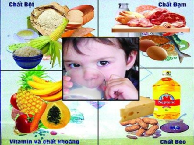 Ô vuông thức ăn CÂU HỎI LƯỢNG GIÁ I Trả lời câu hỏi ngắn điền những cụm 1