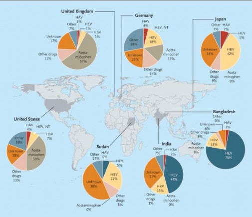 Hình 1 1 Các nguyên nhân gây suy gan cấp trên toàn thế giới 7 Cuối cùng nhóm 1