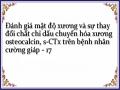 Đánh giá mật độ xương và sự thay đổi chất chỉ dấu chuyển hóa xương osteocalcin, s-CTx trên bệnh nhân cường giáp - 17