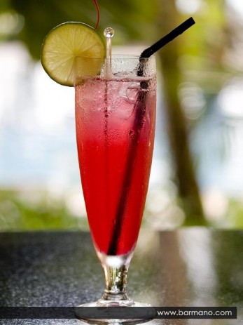 Hình 4 16 Singapore Sling b Pha chế và phục vụ cocktail B52 Trình t công việc chính 1