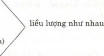 Quê chi Phụ linh Mẫu đơn bỏ vỏ Đào nhân bỏ vỏ đầu nhọr Thược dược Bài 2