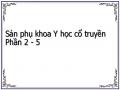 Vấp Ngã Sái Trật Tổn Hại Đến Thai Khí