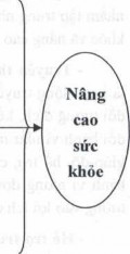 Xây dựng chính sách chăm sóc sức khỏe công cộng Tạo ra môi trường hỗ trợ 2