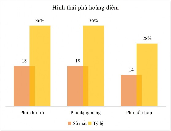 Biểu đồ 3 3 Phân bố hình thái phù hoàng điểm Nhận xét Trong 50 mắt phù hoàng 2