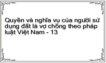 Quyền và nghĩa vụ của người sử dụng đất là vợ chồng theo pháp luật Việt Nam - 13