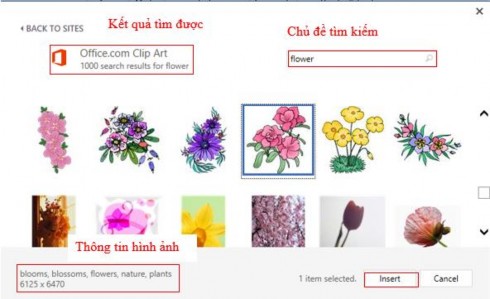 Hình 4 5 21 Sau khi đã chọn được hình ảnh cần cho tài liệu chọn và 15