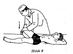 Thầy thuốc Đứng cúi ở phía ngang đùi người bệnh hai bàn tay đặt úp trên 2