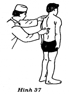 Tư thế Người bệnh Đứng thẳng hai tay buông thõng Thầy thuốc Đứng chếch 12