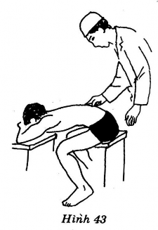 Giải tỏa trọng điểm khu trú ở vùng lưng dưới D8 D9 vùng thắt lưng L1 đến L5 5