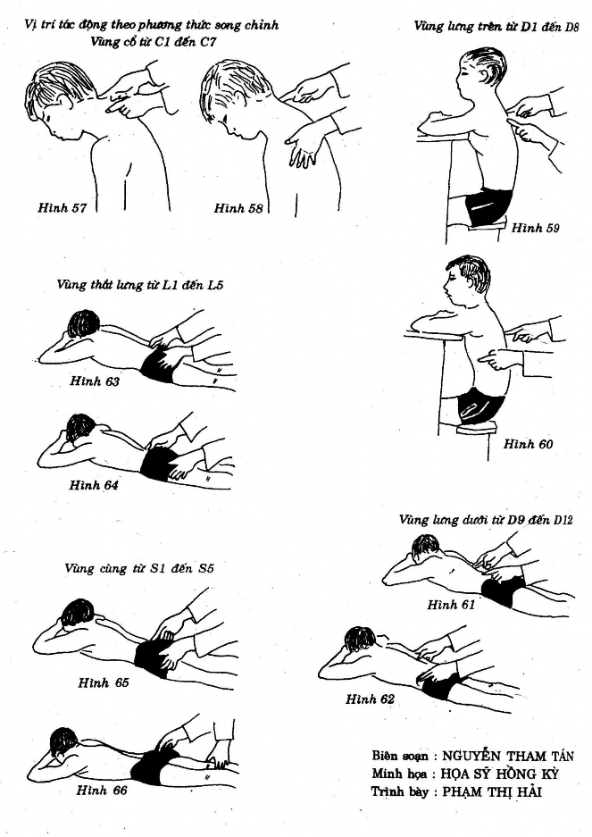 Phương thức song chỉnh cho từng vùng cổ lưng trên lưng dưới thắt lưng cùng 5