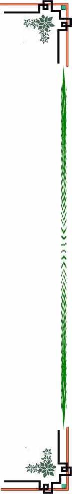 ĐẠI HỌC HUẾ TRƯỜNG ĐẠI HỌC KINH TẾ KHOA QUẢN TRỊ KINH DOANH KHÓA 1