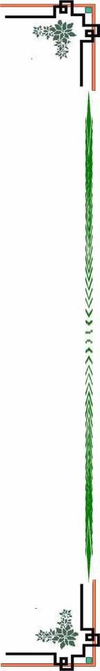 ĐẠI HỌC HUẾ TRƯỜNG ĐẠI HỌC KINH TẾ KHOA QUẢN TRỊ KINH DOANH KHÓA 2