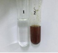 Saponin Xuất hiện bọt 1 2 Tanin Dung dịch màu xanh đen Ghi chú kết quả dương tính 3