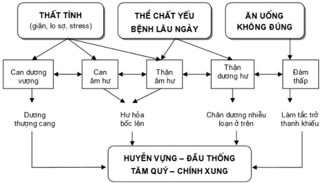 Hình 1 1 Sơ đồ bệnh lý bệnh tăng huyết áp theo YHCT 3 CHẨN ĐOÁN 3 1 Chẩn đoán 2