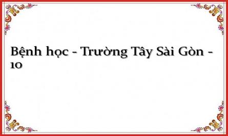 Định Nghĩa: Là Tình Trạng Nhiễm Trùng Cấp Tính Hay Mạn Tính Ở Bàng Quang, Niệu Đạo.