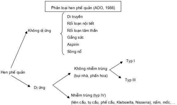 Hình 1 Các nguyên nhân gây Hen phế quản 2 2 Cơ chế sinh bệnh 2 2 1 Yếu tố tăng 1