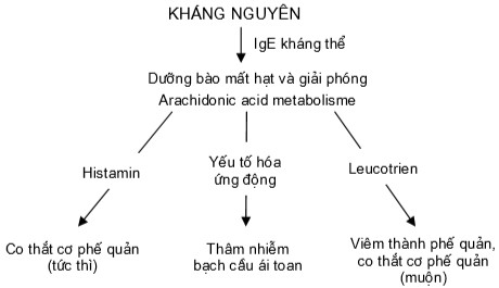 Hóa của acid arachidonic từ màng tế bào yếu tố hoạt hóa tiểu cầu và các kinin 2