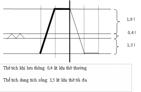 Yếu tố động tác tập dẻo đến mức tối đa mà khớp có thể chịu đựng 1