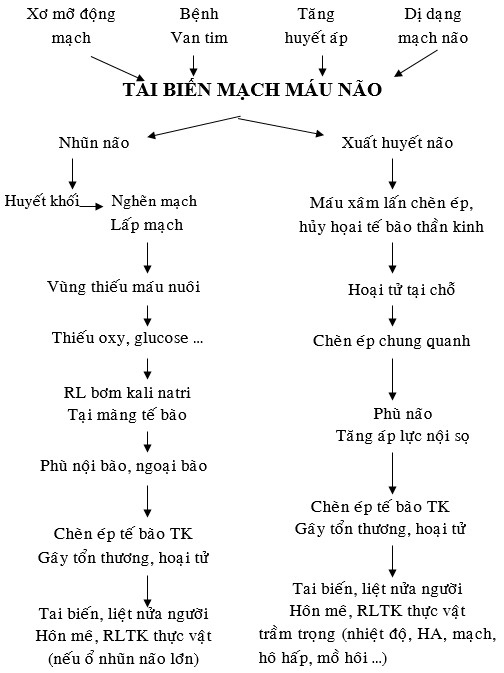 4 NGUYÊN TẮC ĐIỀU TRỊ CHUNG 1 Thông khí tốt thở O2 trong 15 ngày 2 Chống phù não 2