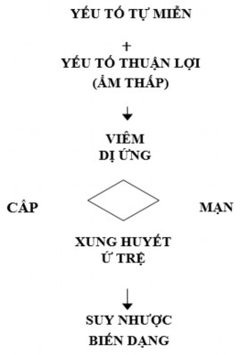 4 NGUYÊN TẮC ĐIỀU TRỊ CHUNG 1 Thuốc chống viêm không steroit và thuốc chống 1