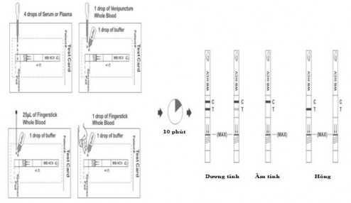 Hình 2 2 Hướng dẫn sử dụng test HCV Hepatitis C virut rapid test strip 2 4 3 Thu thập 2