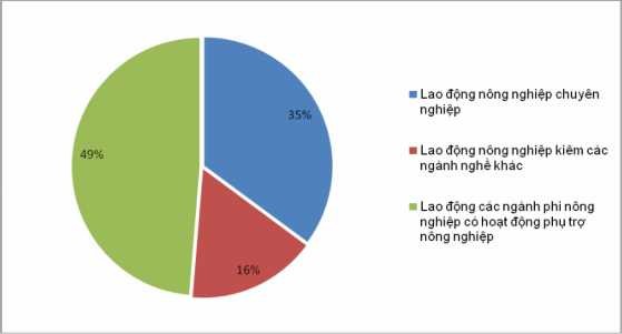 Nguồn Sở Lao động thương binh xã hội thành phố Hà Nội 17 52 Hình 3 9 Cơ cấu 1