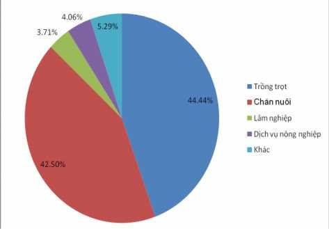 Nguồn Sở Lao động thương binh xã hội 51 Hình 3 12 Cơ cấu lao động nông nghiệp 4