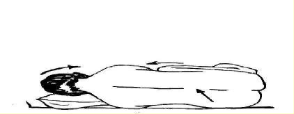 Hình 49 1 Tư thế nằm và vị trí chọc dịch não tuỷ ở lưng Chuẩn bị bệnh 1