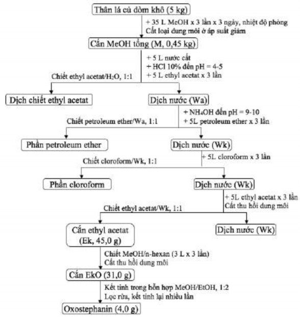 Hình 3 13 Quy trình phân lập oxostephanin 3 2 1 2 Sơ bộ đánh giá độ tinh khiết 1