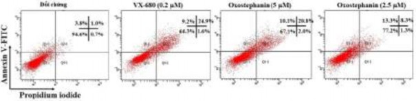 Hình 3 31 Phân tích định lượng phần trăm apoptosis trong các tế bào được xử 3