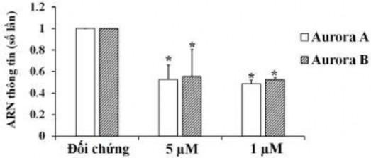 Hình 3 37 Sự biểu hiện của Aurora A và Aurora B đã giảm ở mức mRNA sau khi xử 9