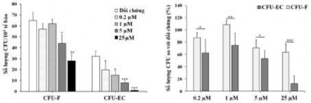 Hình 3 43 Ảnh hưởng của oxostephanin lên số lượng khuẩn lạc được hình thành 3