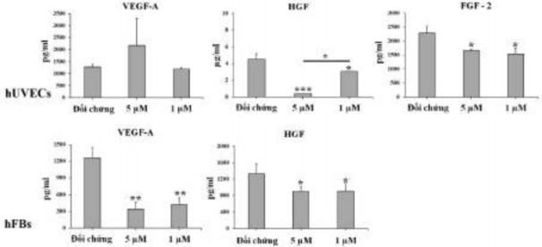 Hình 3 44 Ảnh hưởng của oxostephanin lên sự bài tiết các yếu tố tăng trưởng 4