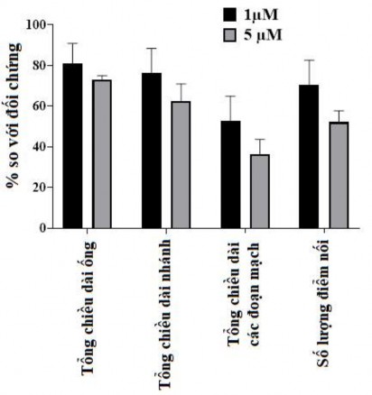 Hình 3 48 Khả năng ức chế hình thành mạch của oxostephanin trên hUVECs so với 8