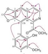 1 PHỔ MS 2 PHỔ 1 H NMR 8 288 8 277 7 812 7 801 7 443 7 013 7 011 6 997 6 995 6 827 6 811 6 795 3