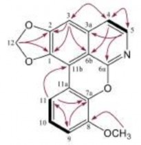 1 PHỔ MS 2 PHỔ 1 H NMR 7 823 7 811 7 752 7 749 7 736 7 733 7 332 7 117 7 101 7 085 7 063 7 051 16