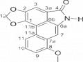 Nghiên cứu thành phần hóa học và đánh giá tác dụng kháng ung thư của thân lá cây củ dòm Stephania dielsiana Y.C. Wu - 29