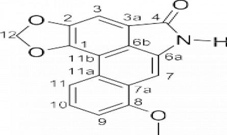 Nghiên cứu thành phần hóa học và đánh giá tác dụng kháng ung thư của thân lá cây củ dòm Stephania dielsiana Y.C. Wu - 29