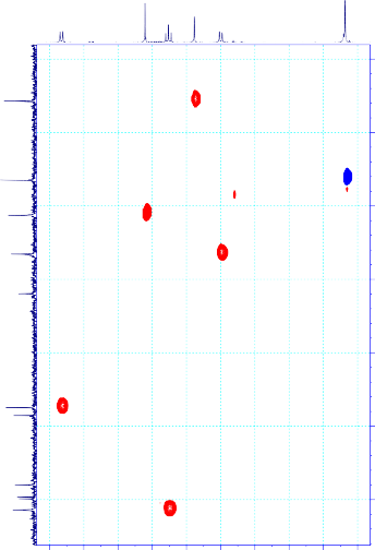 ppm 35 40 45 50 55 60 65 70 75 80 85 90 95 100 105 110 115 120 125 130 135 140 SD16 1 DMSO HSQC ppm 90