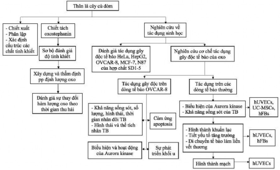 Hình 2 1 Sơ đồ thiết kế nghiên cứu 42 Dược liệu được ngâm ở nhiệt độ 1