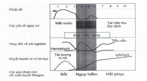 Hình 1 6 Diễn biến của bệnh sốt xuất huyết dengue 2 1 3 1 Lâm sàng 1 3 1 1 Giai 2